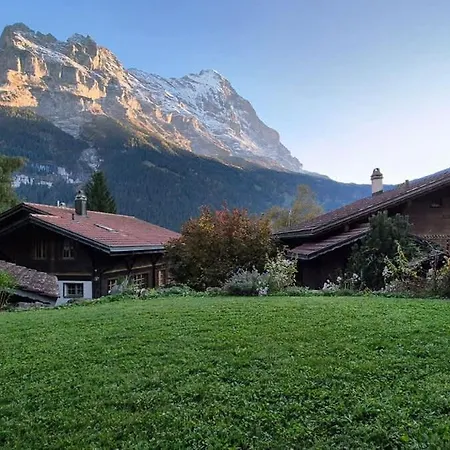 Condor - Aare Jungfrau Ag * 格林德瓦
