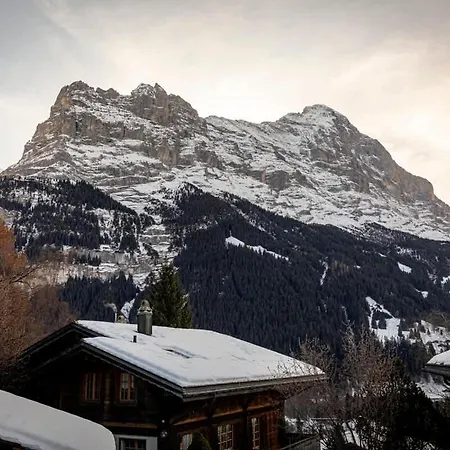 Condor - Aare Jungfrau Ag Grindelwald