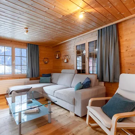 Condor - Aare Jungfrau Ag Grindelwald