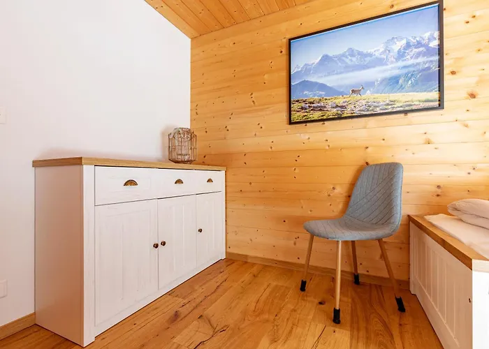 Condor - Aare Jungfrau Ag Grindelwald