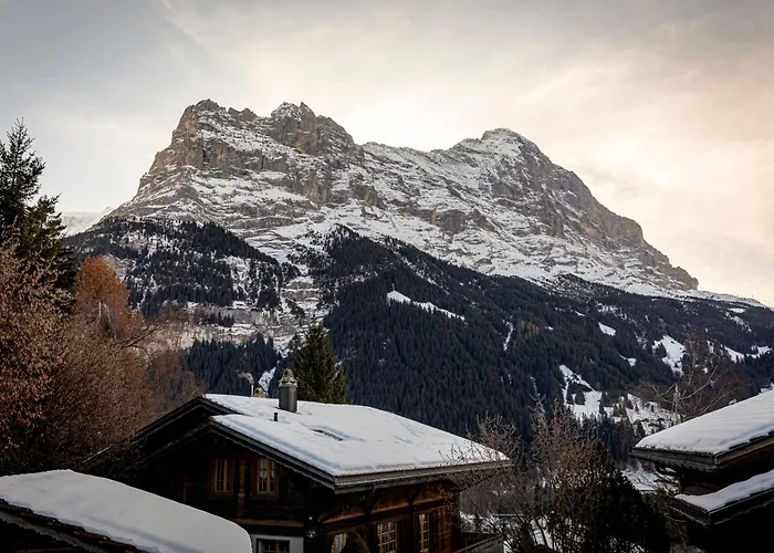 Apartman Condor - Aare Jungfrau Ag Grindelwald